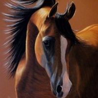 Portrait of bay horse 2, pastel, 50x70 cm